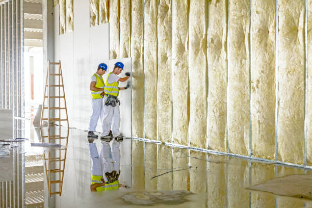 Best Commercial Insulation in Babbitt, MN